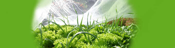 gartenvlies kategorieeinstiegsbanner